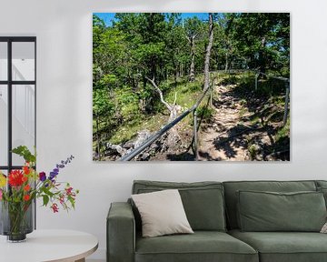 Chemin de randonnée au milieu du parc national du Harz sur Animaflora PicsStock