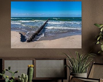 Buhne aan de Oostzeekust in Zingst op de Fischland-Darß. van Rico Ködder