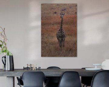 Giraffe Zuid-Afrika van Eveline van Beusichem