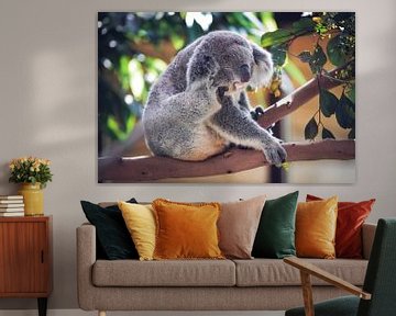 Koala sur Eveline van Beusichem