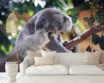 Koala van Eveline van Beusichem