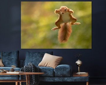 Flying squirrel by Marjan Slaats