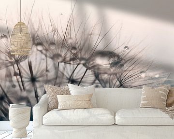 Löwenzahnflaum mit Tropfen von KB Design & Photography (Karen Brouwer)