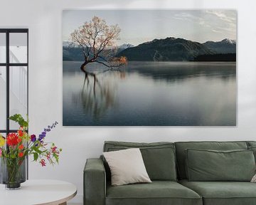 Wanaka-Baum in Neuseeland von Sophia Eerden