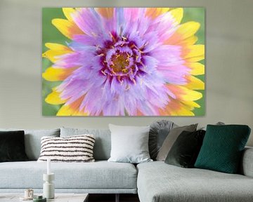 Mix van twee bloemen in vrolijke zomerse kleuren van Lisette Rijkers