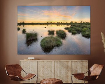 Evening in the High Fens in Belgium by Michael Valjak