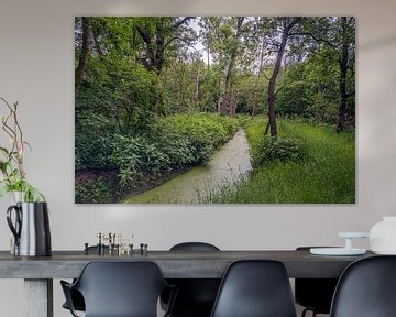 Narrow ditch in a Dutch forest by Ruud Morijn