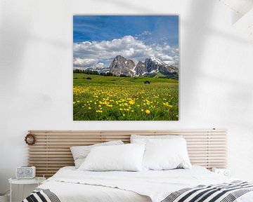 Seiseralm - Frühling auf der Seiser Alm von Teun Ruijters