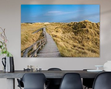 Paysage dans les dunes à Norddorf sur l'île d'Amrum sur Rico Ködder