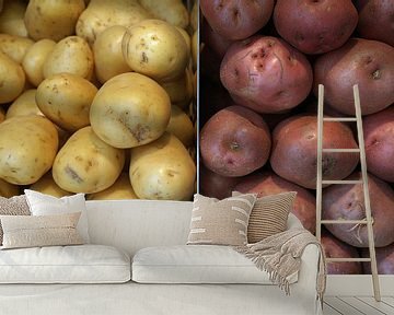 Twee soorten aardappelen, naast elkaar opgestapeld. van Gert van Santen