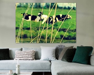 Koeien in de polder van Naomi Kroon