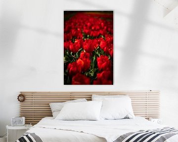 Champs de tulipes rouges en fleurs aux Pays-Bas sur Erik Groen