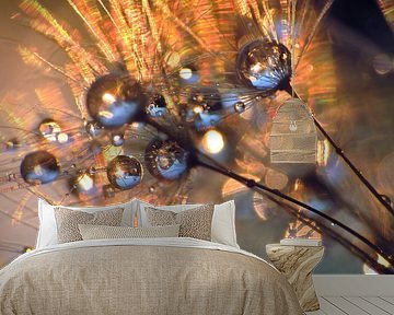 Dandelion abstract  by Julia Delgado