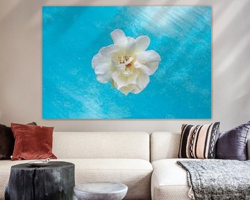 white rose on blue background by Ribbi