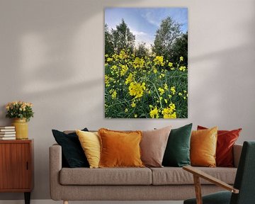 Des fleurs jaunes avec une telle chute