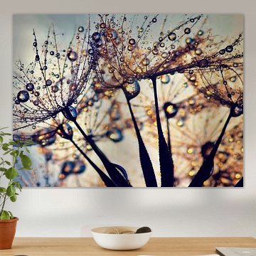 Pusteblume Farbspektrum von Julia Delgado