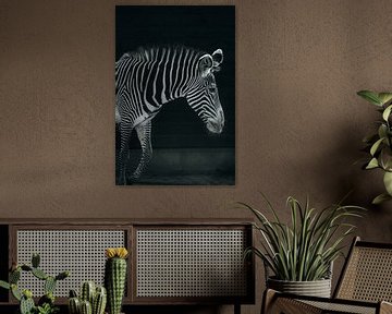 Zwart-witte zebra van Oliver Hackenberg
