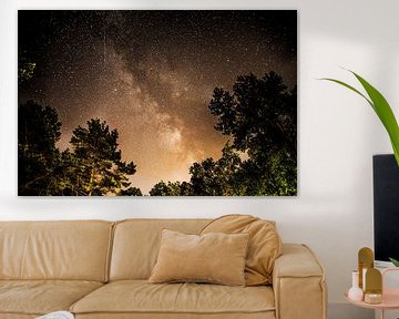 Milky Way through the trees by Annemarie Goudswaard