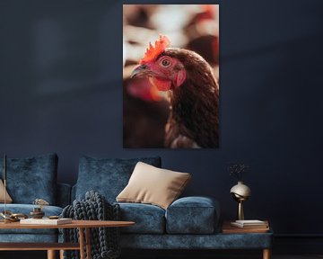 Chicken by Oliver Hackenberg