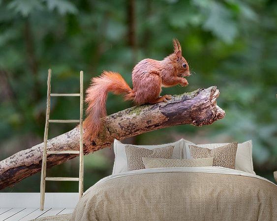 Aperçu de la chambre