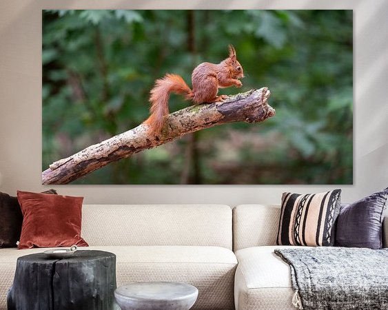 Aperçu de la chambre