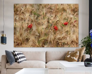 Weizenfeld mit Mohnblumen von jacky weckx