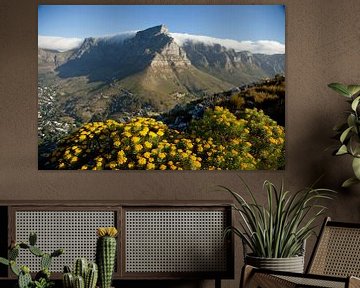 De Tafelberg in Kaapstad, Zuid-Afrika van Peter Schickert