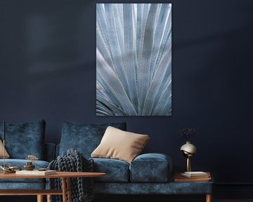 Feuilles bleu-gris de la plante agave sur Christa Stroo photography