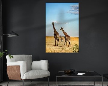 Giraffe