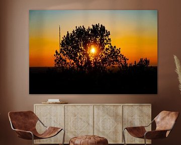 Coucher de soleil derrière un arbre