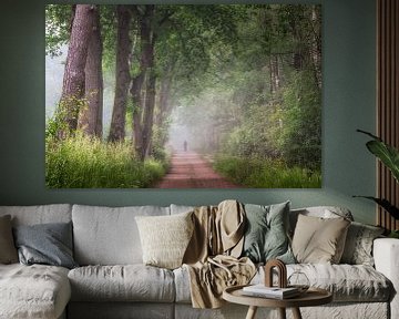 À l'orée des bois de Laura, sur un chemin forestier brumeux sur Peschen Photography