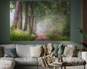 Am Rande des Laura-Waldes auf einer nebligen Waldstraße von Peschen Photography