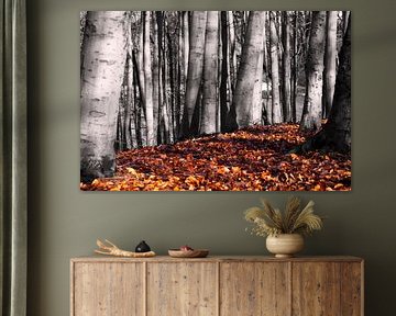 trees in autumn black and white