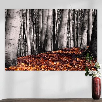 bomen in de herfst zwart wit