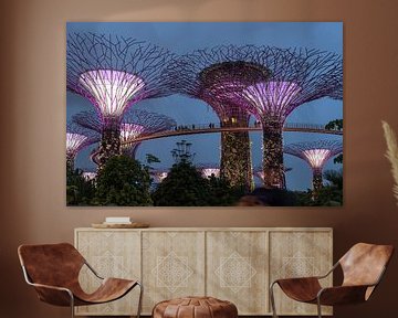 Gardens by the Bay, Singapore van Peter Schickert