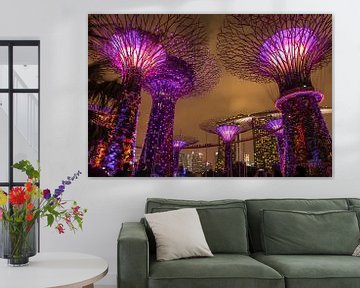 Gardens by the Bay, Singapur