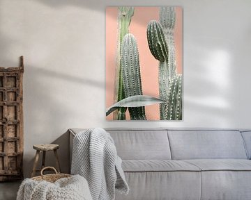 Kakteen vor korallenroter Wand III | Kaktus | Botanisches Bild von Mirjam Broekhof