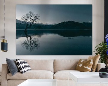 The reflection of the Wanaka Tree in winter by Sophia Eerden