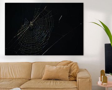 Gekleurde draden van een spinnenweb tegen een zwarte achtergrond van Anne Ponsen