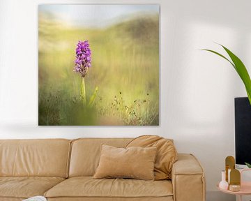 Reed orchid in the dunes of Schiermonnikoog by Karin de Jonge