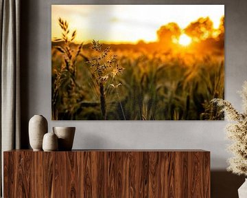 Details in het gras