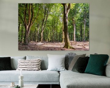 Bäume von Marian van der Kallen Fotografie