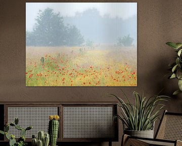 Field of poppies on a beautiful misty morning at the Kampna. by Jos Pannekoek