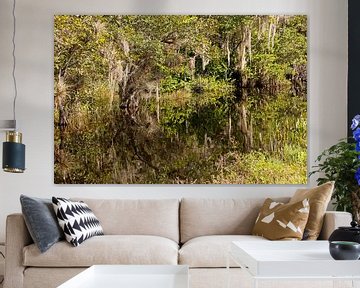 Everglades, Florida van Peter Schickert