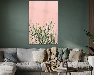 Plante verte contre un mur rose corail | Tableau botanique sur Mirjam Broekhof