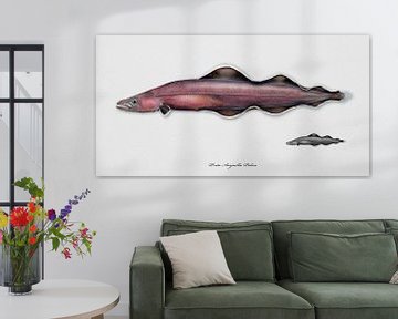 Eel , eel-like living fossil, Protoanguila Palau by Urft Valley Art