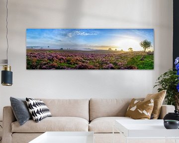 Bruyères en fleurs dans un paysage de bruyère au lever du soleil. sur Sjoerd van der Wal Photographie