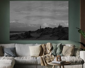 De duinen van de Maasvlakte van Sanne van der Plaat