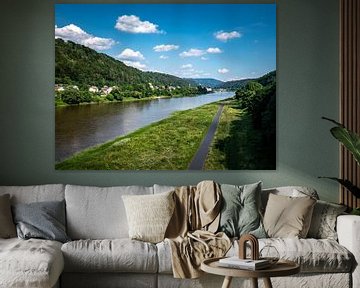 Blick auf das Elbufer bei Bad Schandau in Sachsen von Animaflora PicsStock