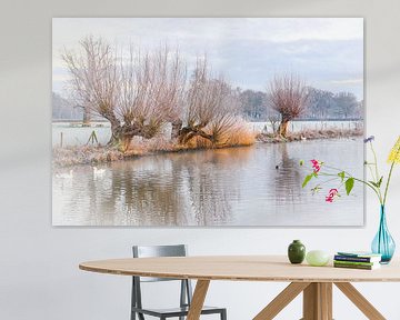 Des saules têtards le long du Kromme Rijn par un froid matin d'hiver.